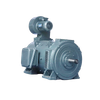 walserij gelijkstroommotor ZZJ-800