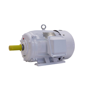 low voltage induction motor